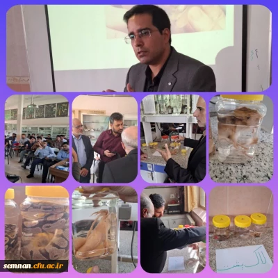 کارگاه آشنایی با خزندگان ایران: مارها و سوسمارها و ...
و نمایشگاه صدگونه خزنده