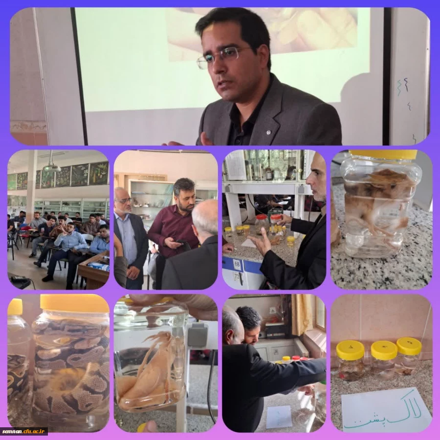 کارگاه آشنایی با خزندگان ایران: مارها و سوسمارها و ...
و نمایشگاه صدگونه خزنده 2